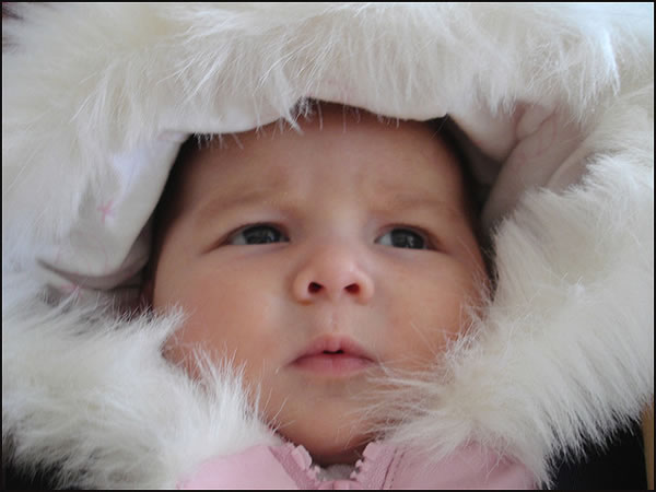 1487126146286650.jpg 4.jpg