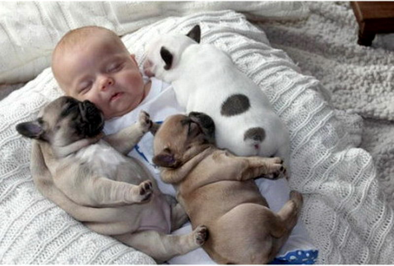 1487126308167727.jpg 8.jpg